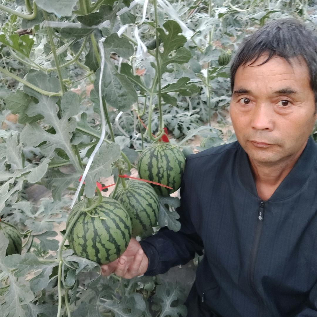 用户4123809762875老邓西瓜园