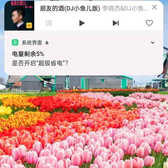 今生有你