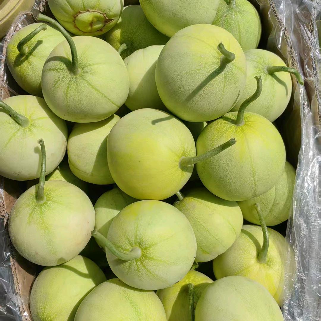 小纪购销～农副产品