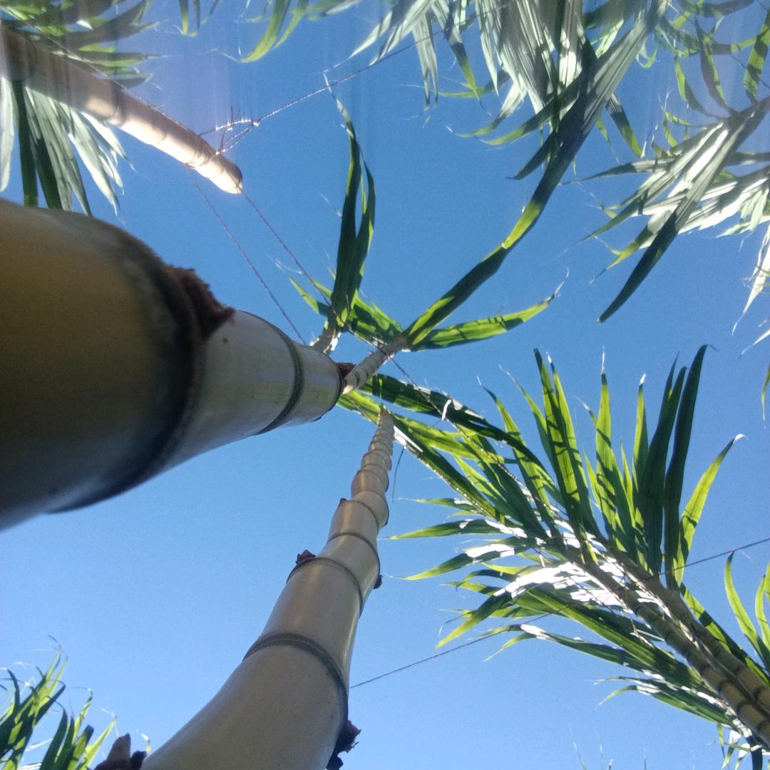 @“滿眼星辰”！…