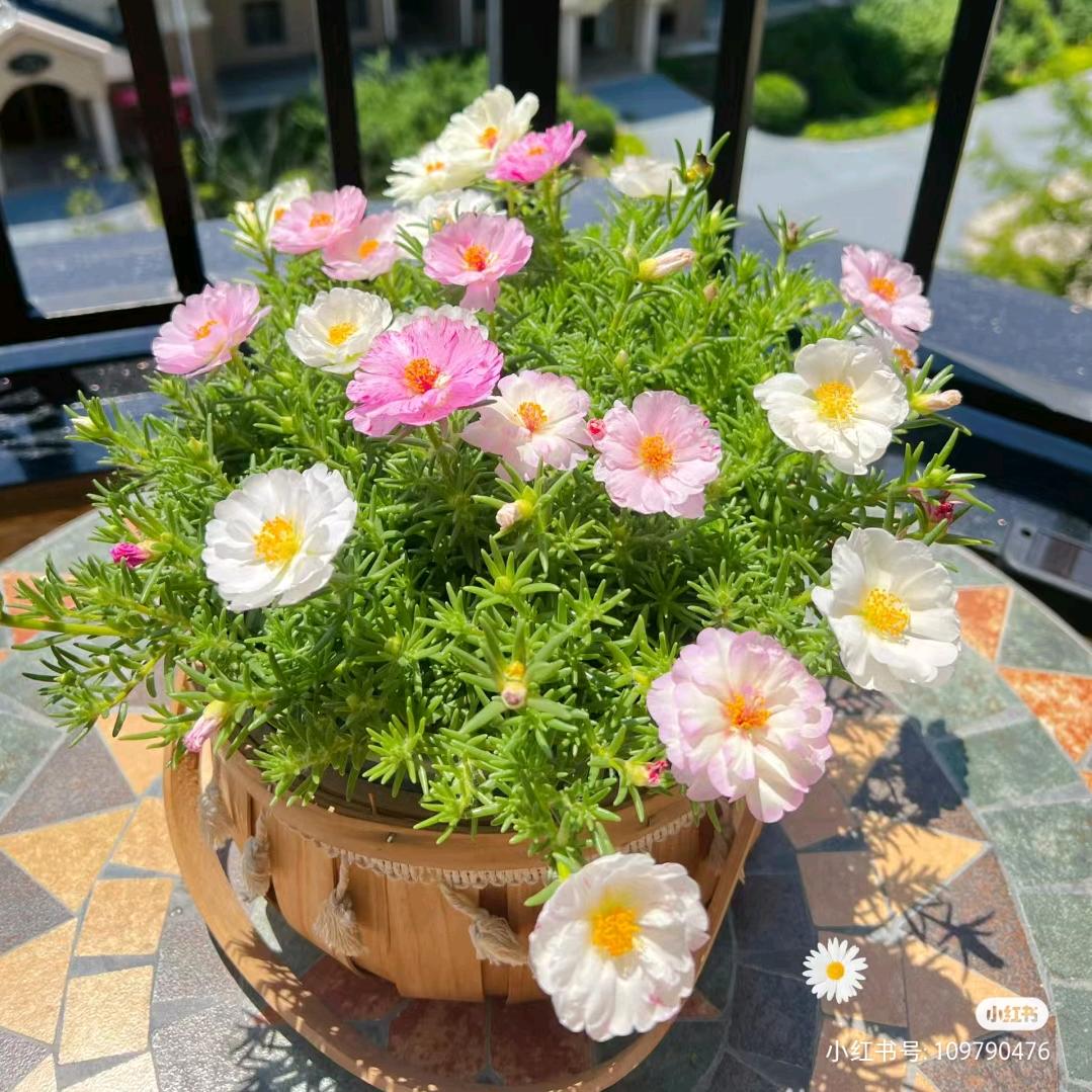 维贺商贸
