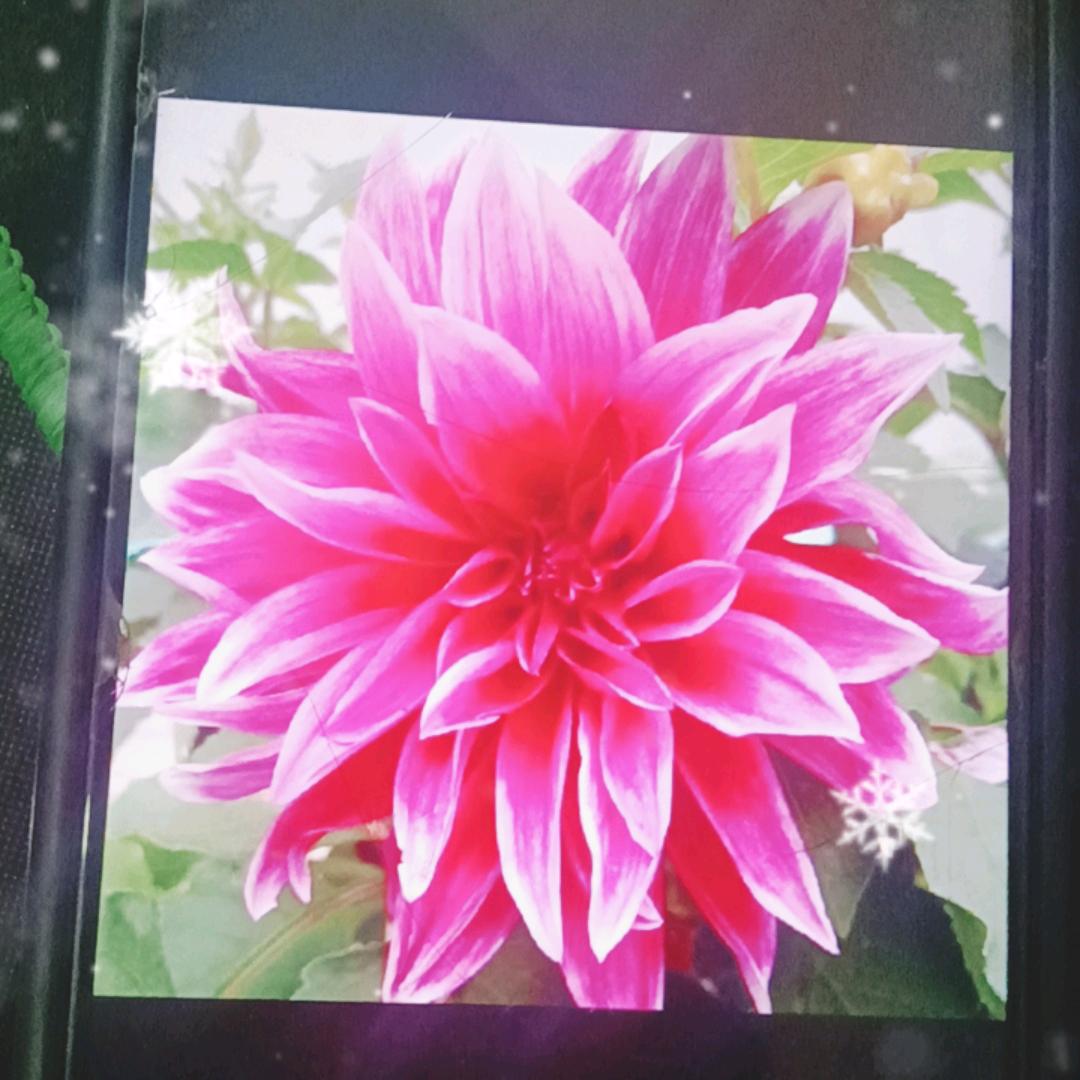 万事如意，心想事成