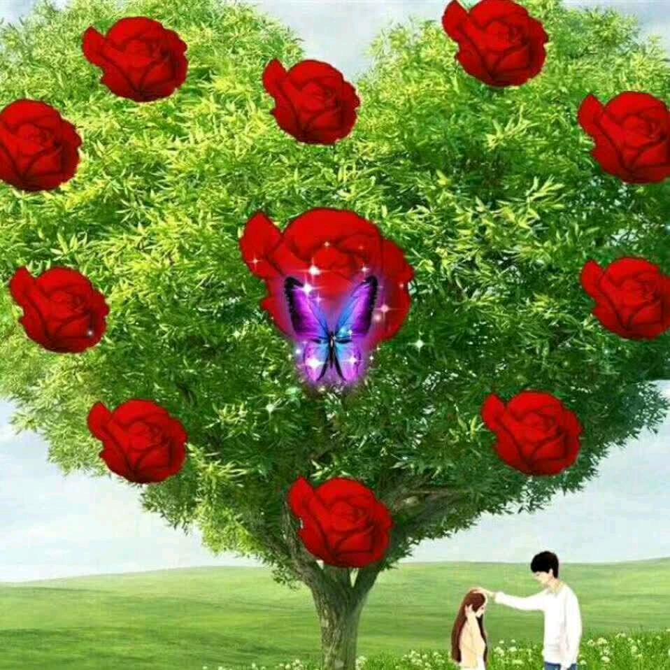 乐安黎妹，肖家二媳妇