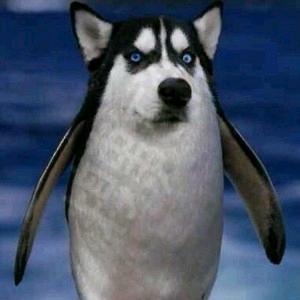 再冷也光着腿