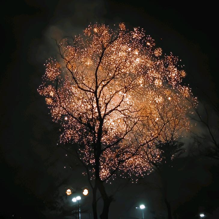 电瓶车的花语⁹