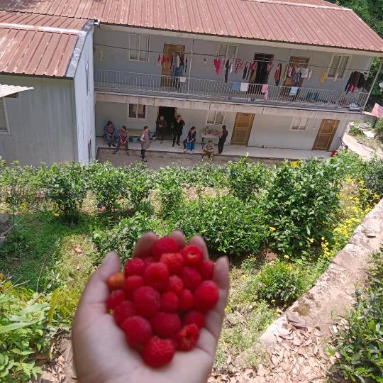 我在远方等着你🌹