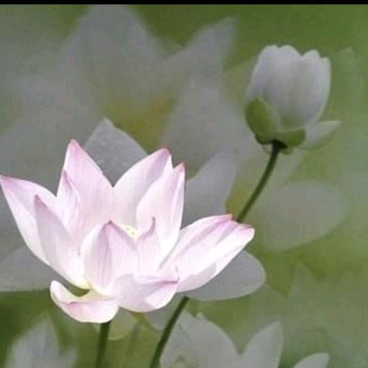 正午一妈家纺加工被套