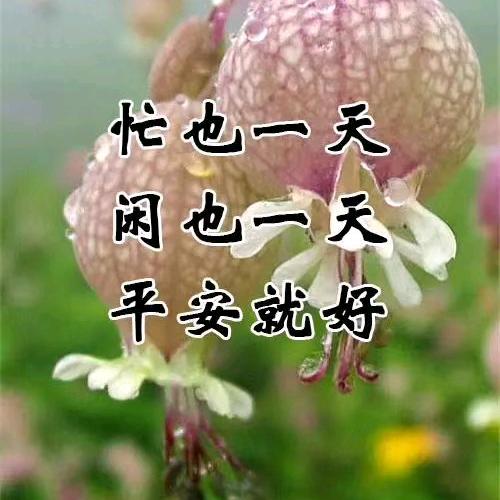 用户47337089真姐