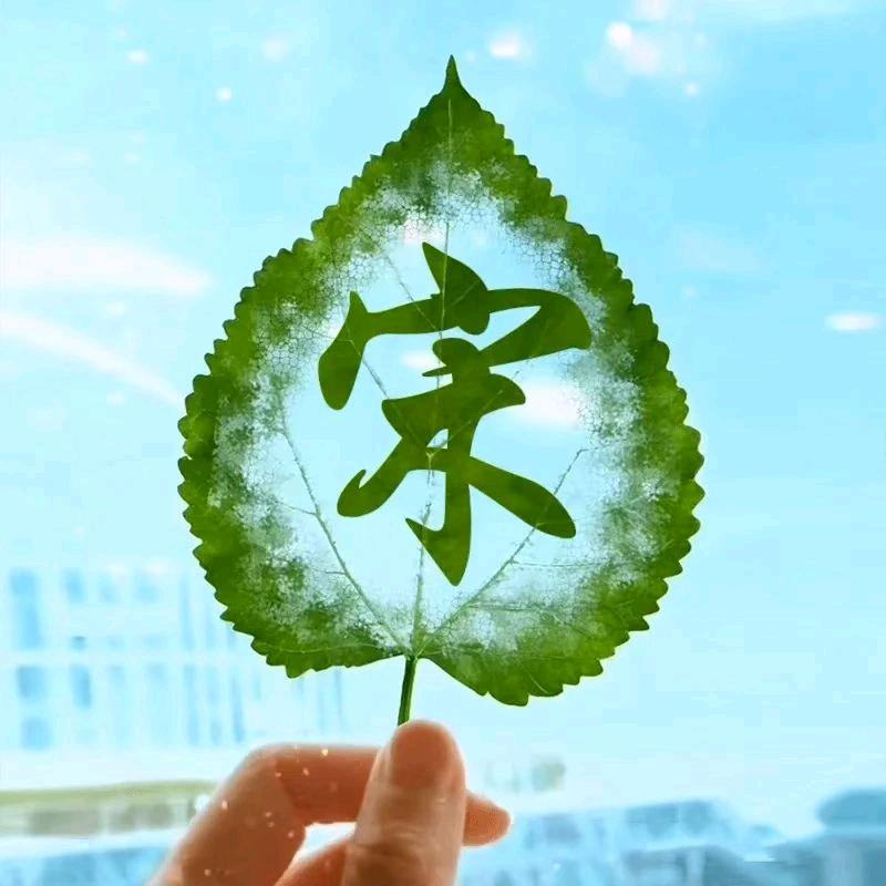 小哥丫
