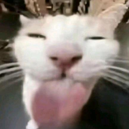 这又有啥好吃的呢？