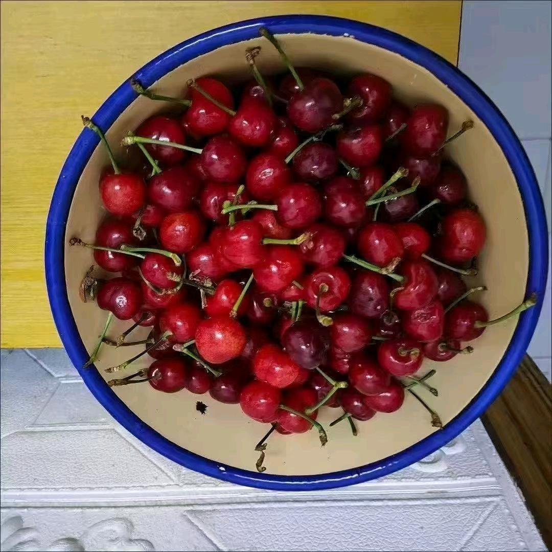 211676473河南