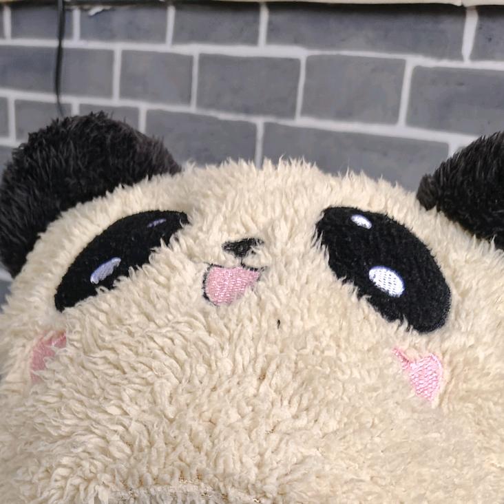 两年半短剧