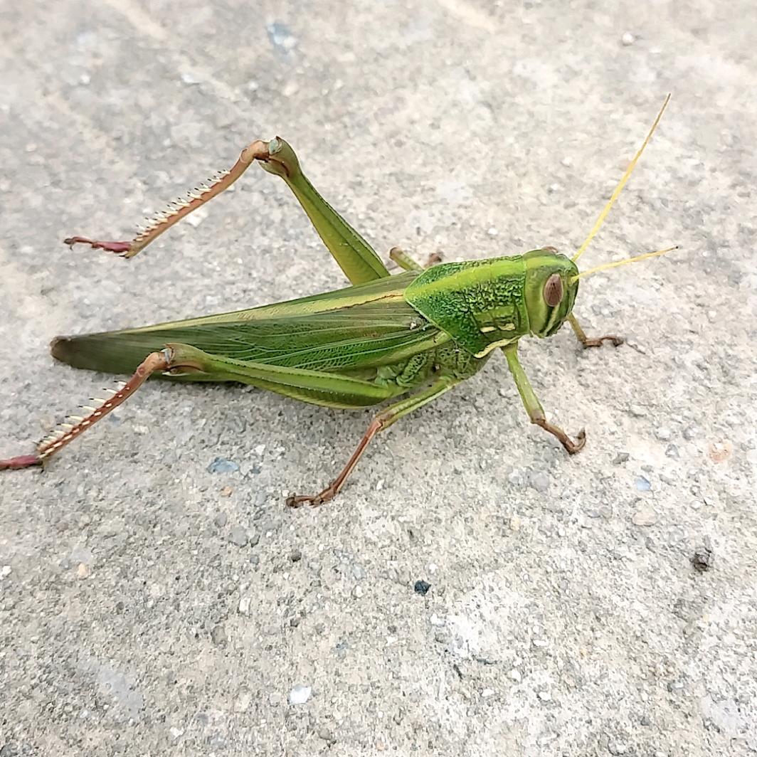 💕乄搬开看ℒℴѵℯۣۖ