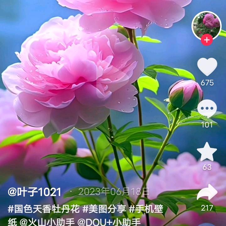 过往云烟小影子