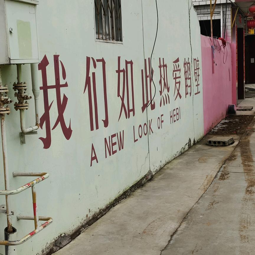 鹤壁猫先森的鱼