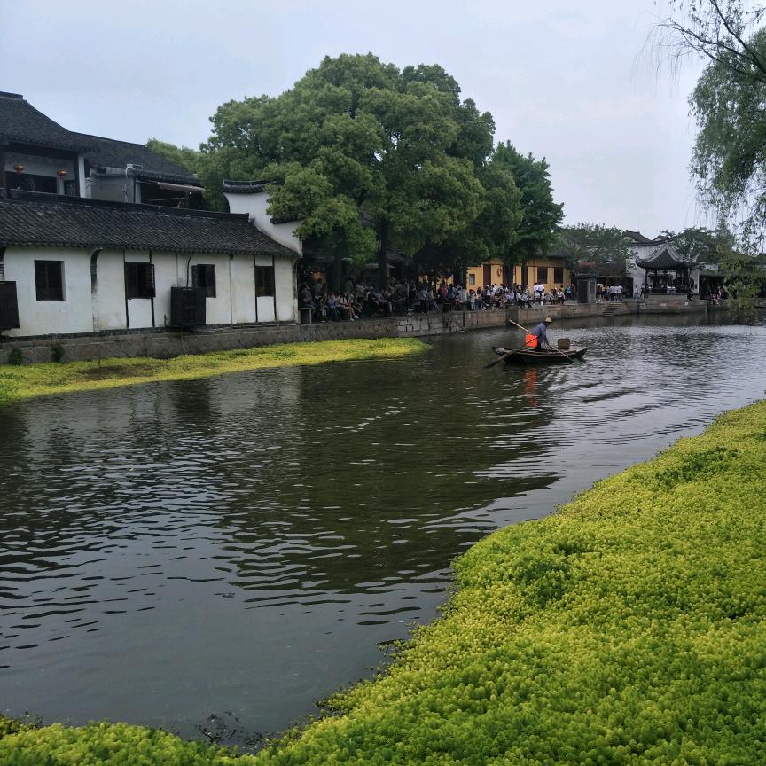 陈香