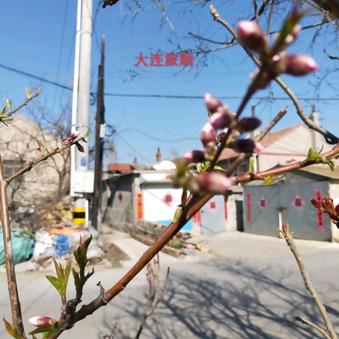 ：老张