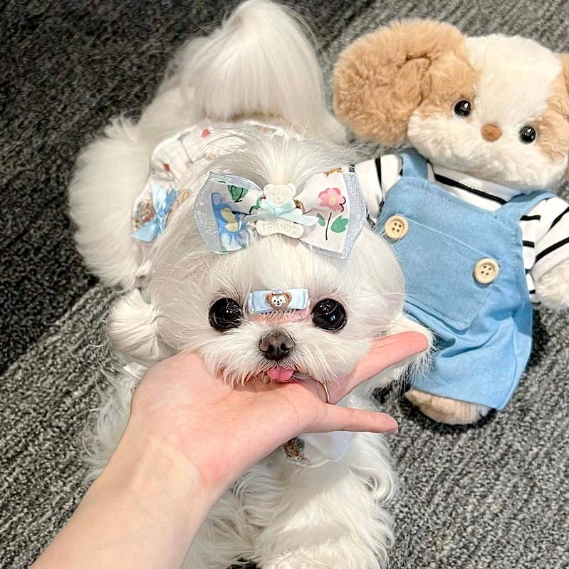 乐乐要努力