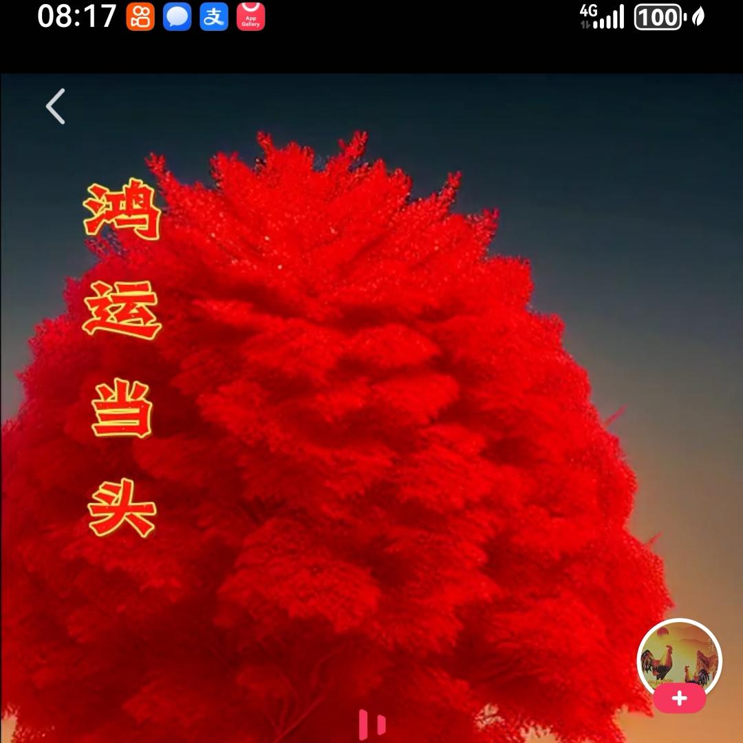 🌹鸿运当头🌹