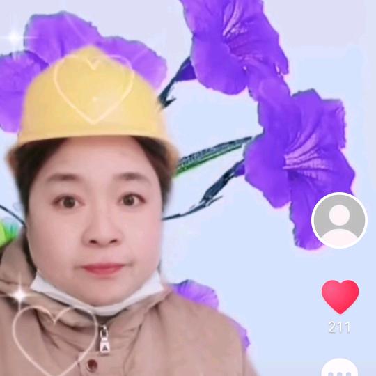 余乃琴