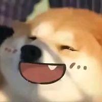 噗噗