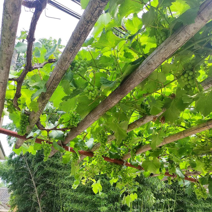 🌟ʕ•ᴥ•ʔ🌟