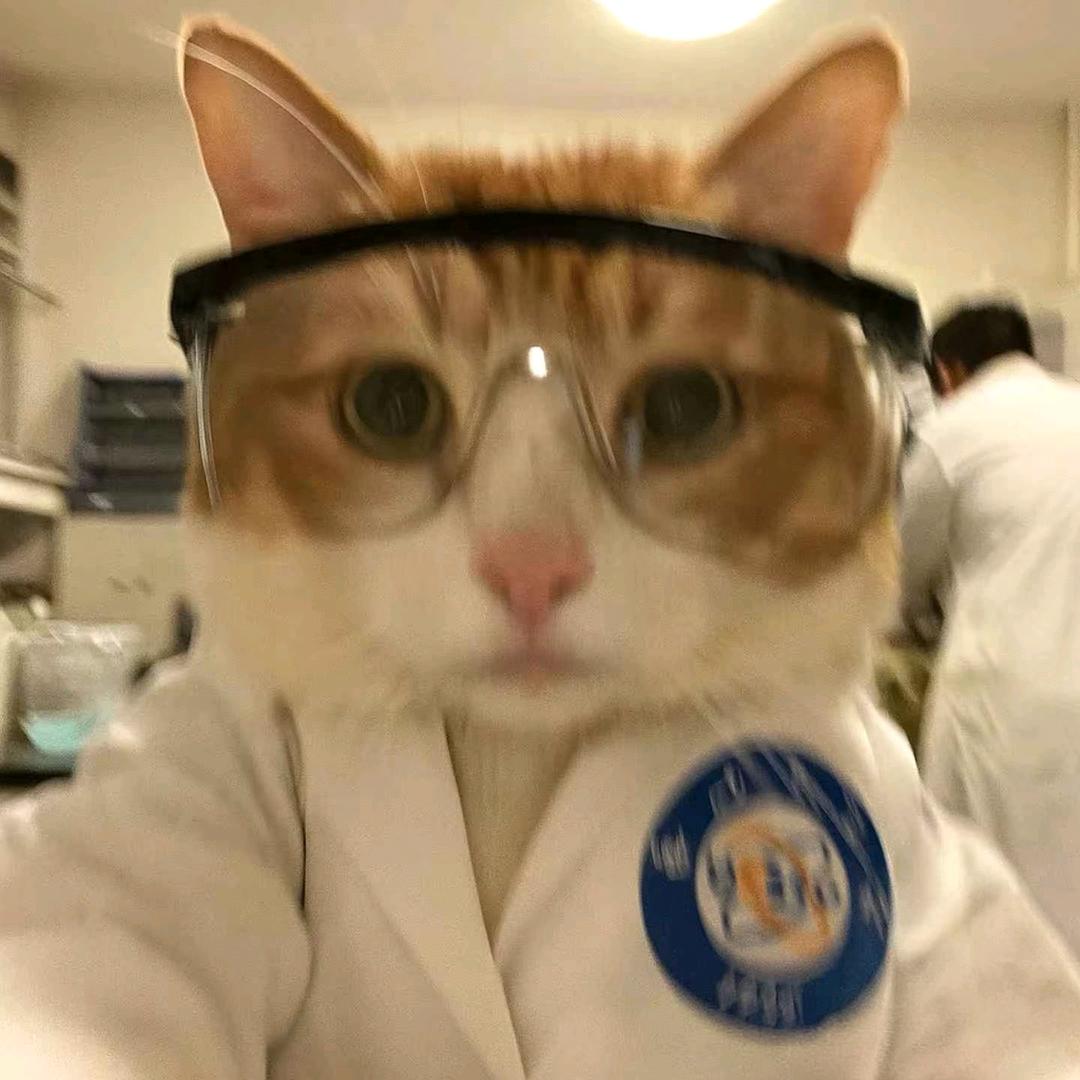 希希弗柿Sisyphushi