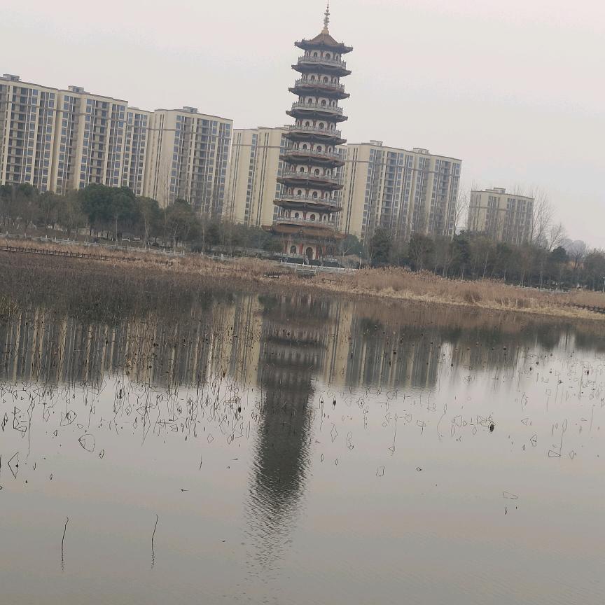 用户7943792442913