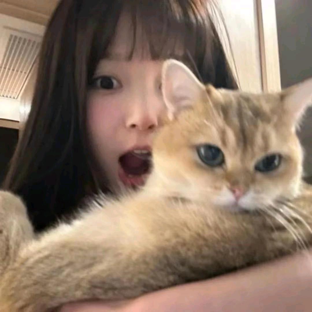 熠起栽星星