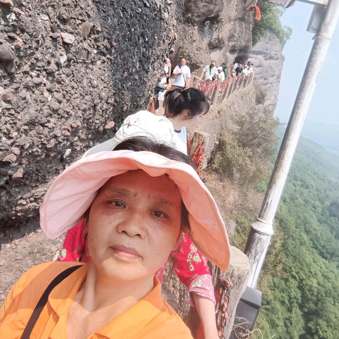 清风徐来，花开似锦