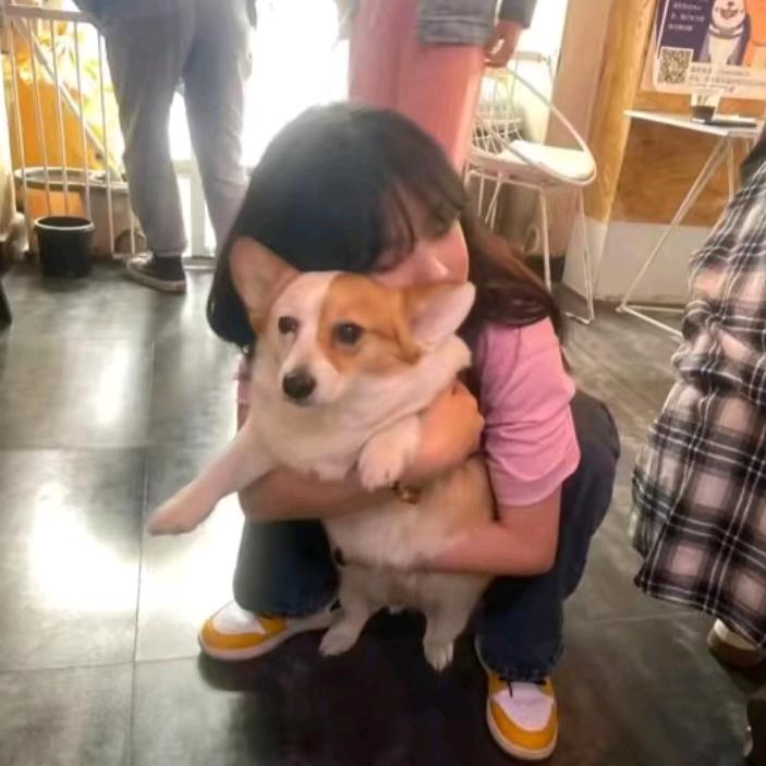 耶汁