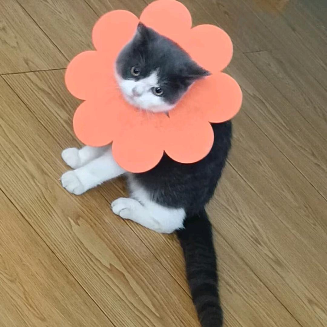 秦淮