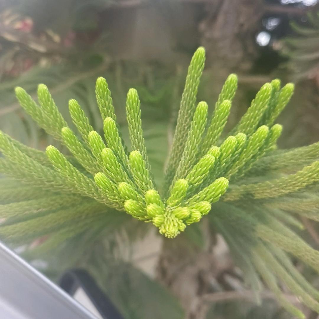 人生曾经过去现在未来