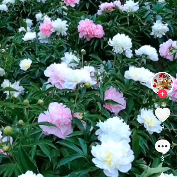 用户3684051167527