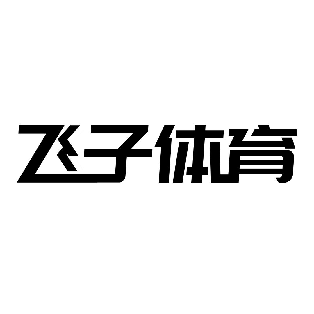 飞子体育（羽毛球）