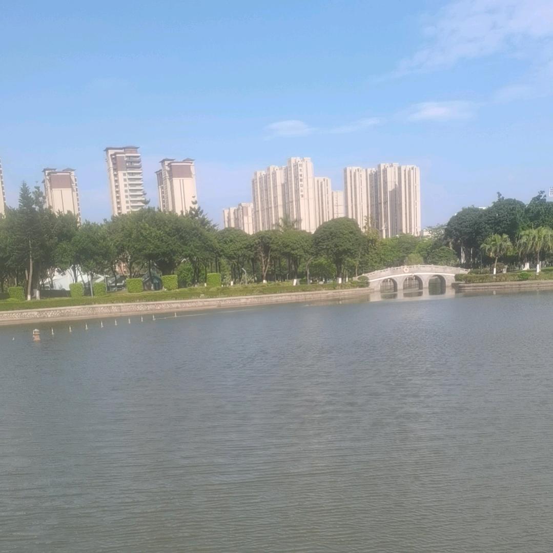 浪浪