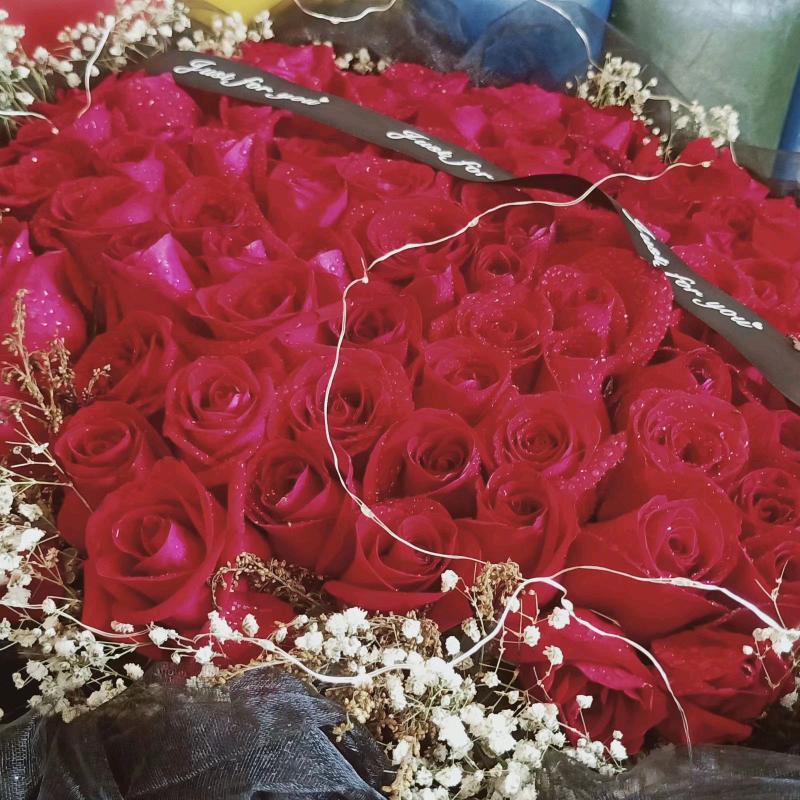 oοゞ潇灑亾笙ゞοo