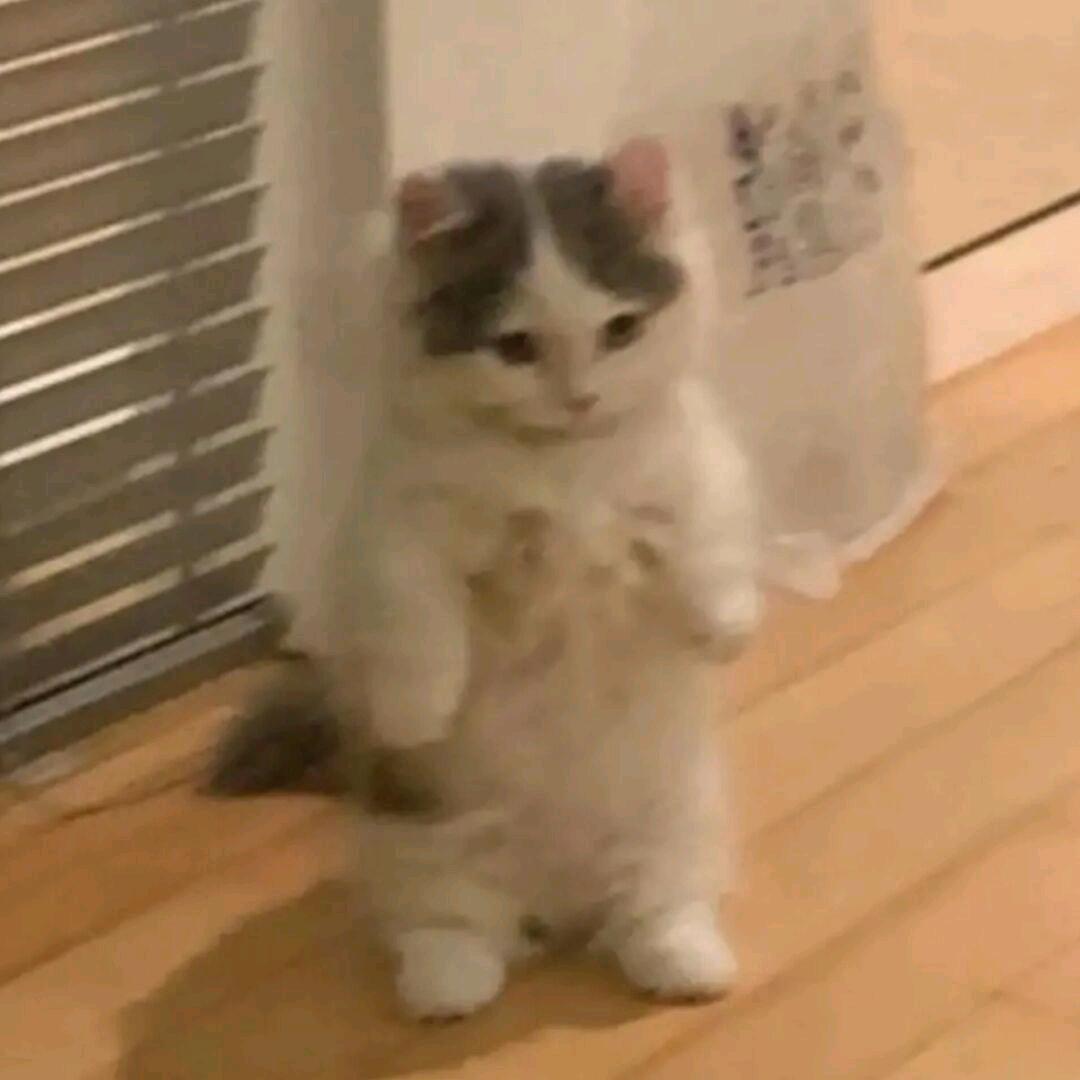 十一丶