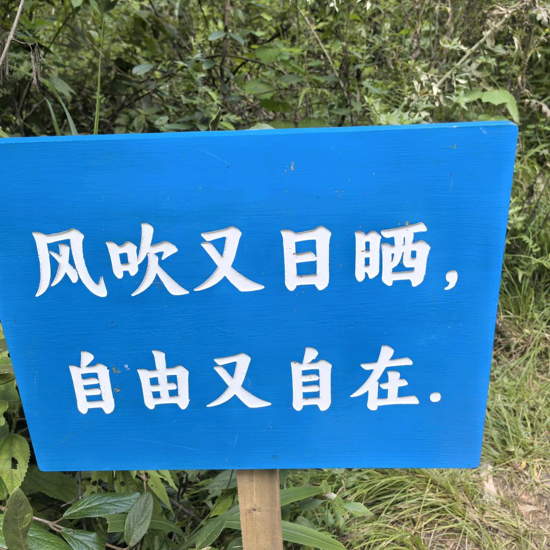 说走就走的旅行