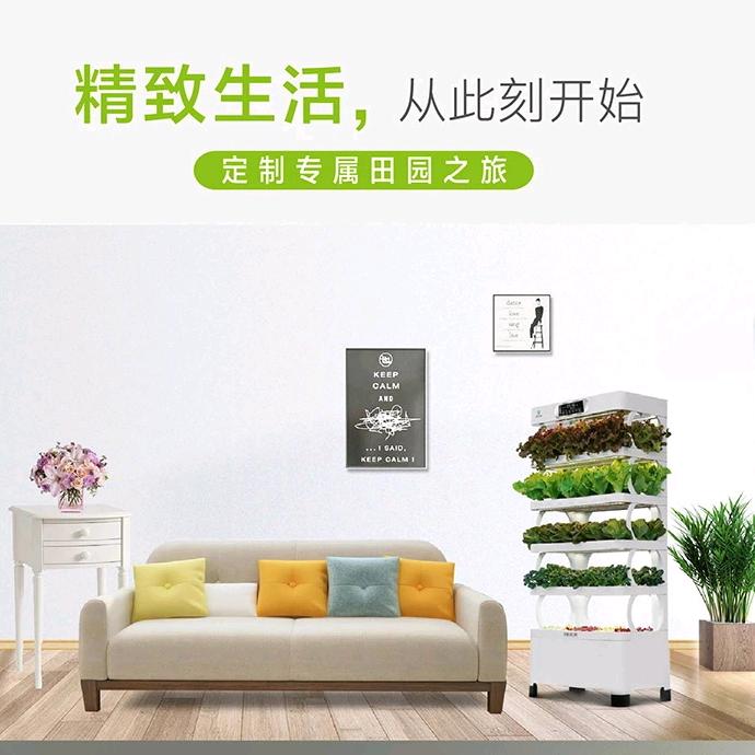 智能种菜机