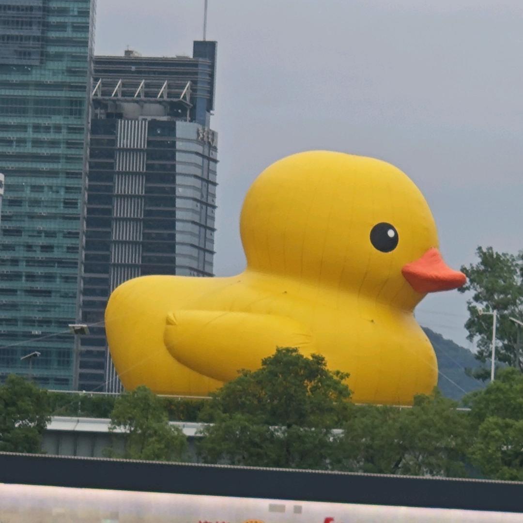 中国制造网 小梅