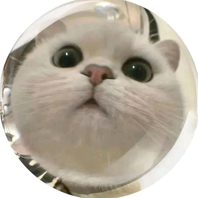 念念