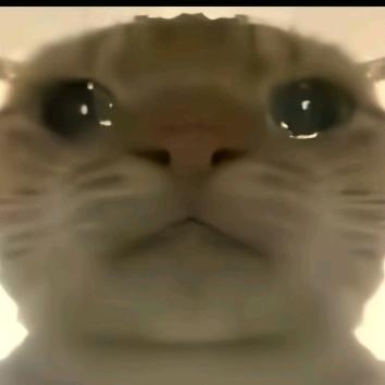 小鼠爱跑刀（三角洲行动）