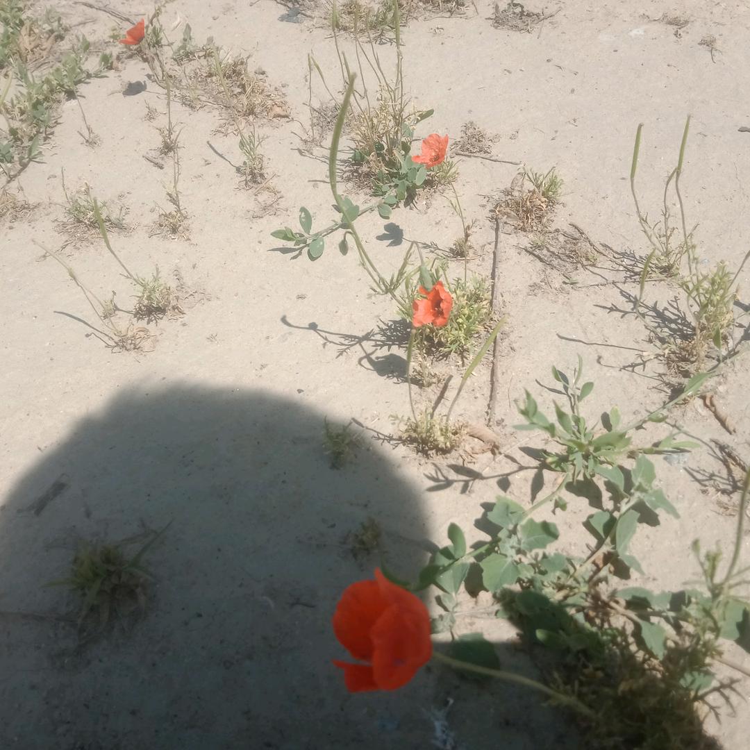 时来运转☞🎣🏄🏻‍♀️