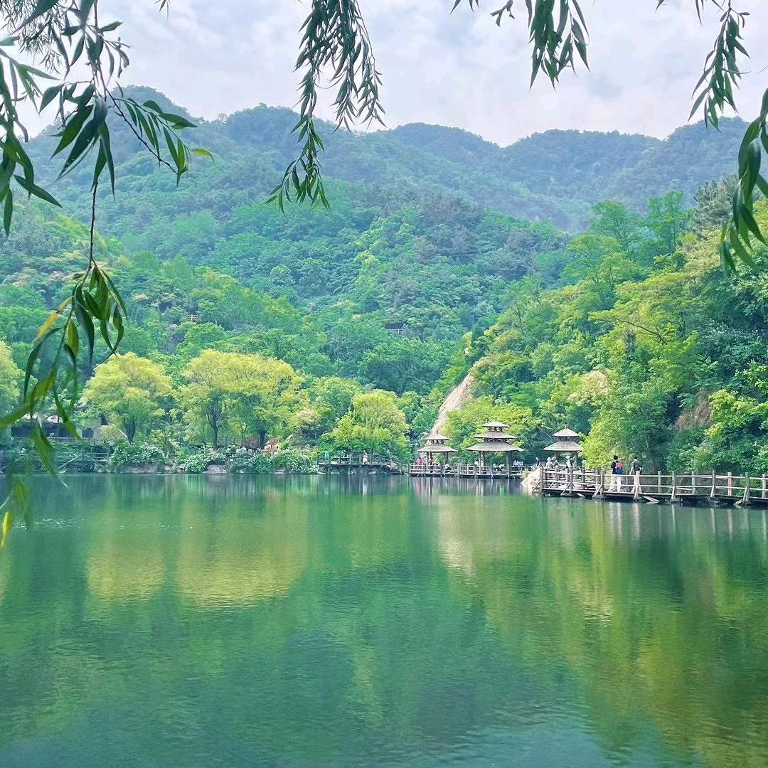 懂你