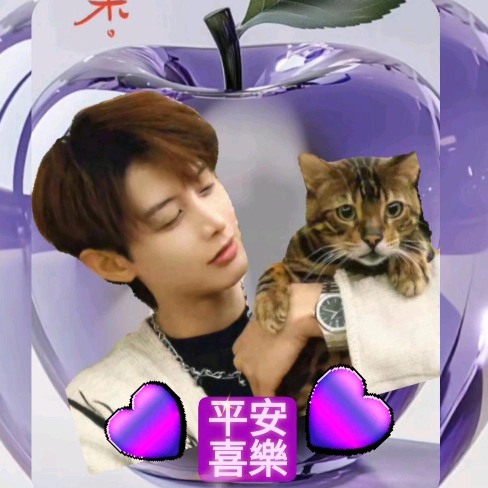💜麒紫貓儿😽💘头像
