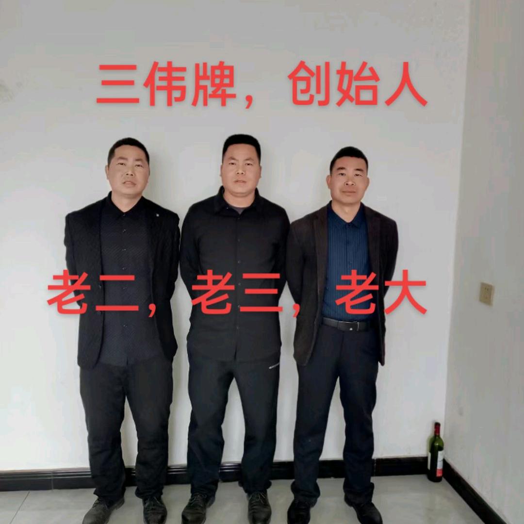 看什么电车（三伟牌）