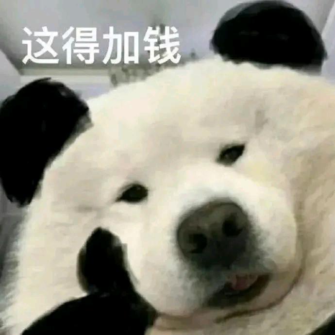 狗KK