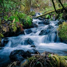 世康商贸官方号