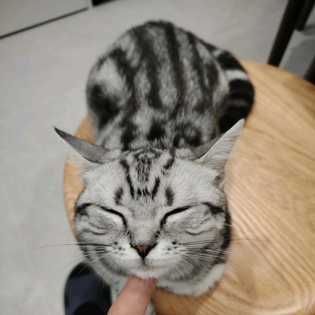 八度余温